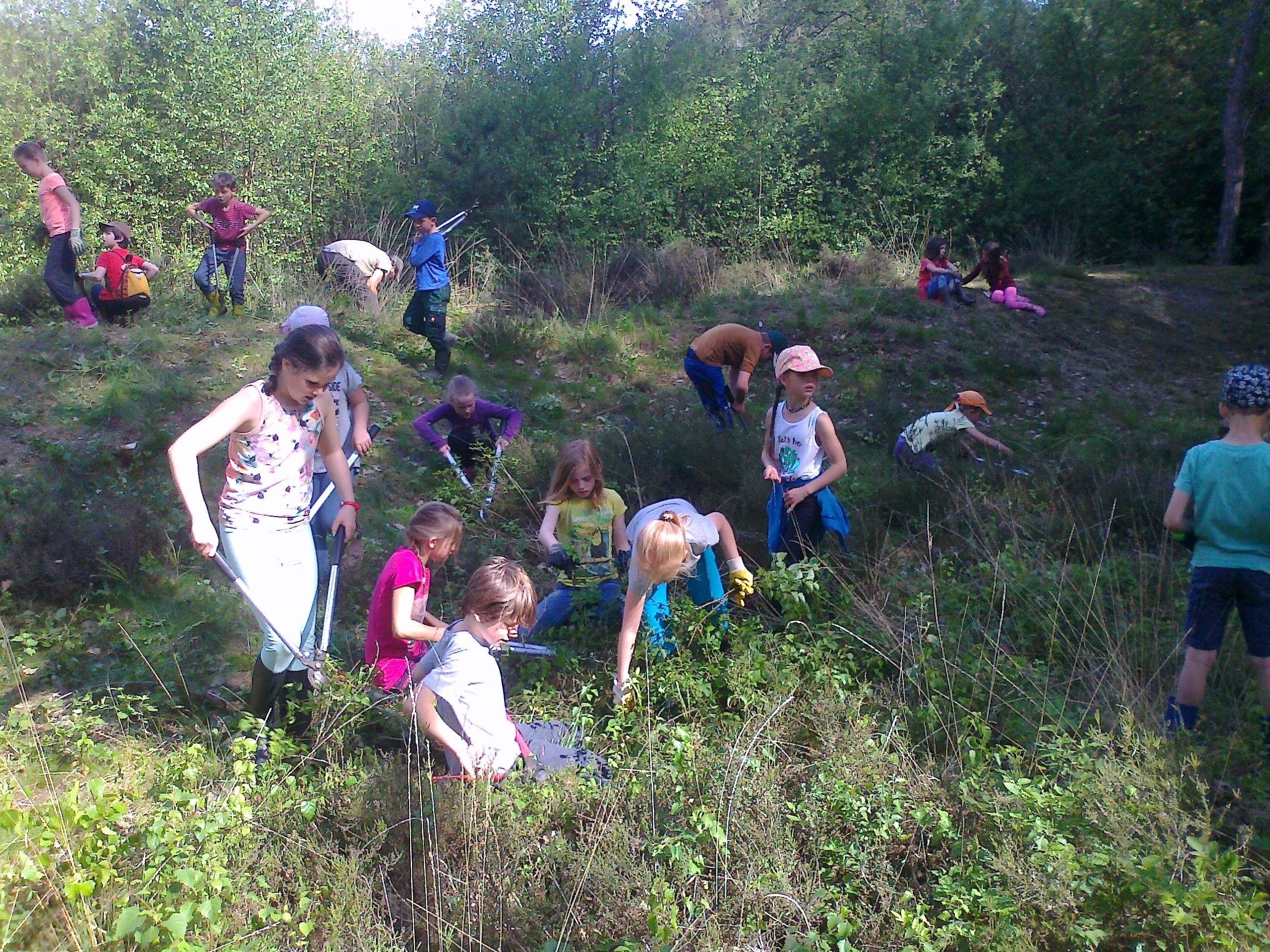 Werken in het Griesbroek samen met de mensen van Natuurpunt.